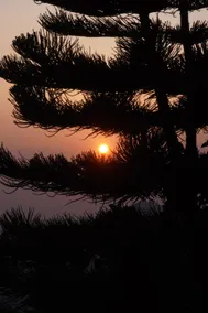 The Sirmour Retreat - Image 3