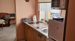 Ozolu street apartment - Image 3