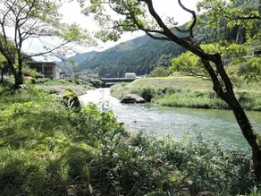 Tanakaya - Image 4