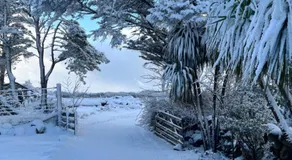 The Lovecroft Guest House - Image 4