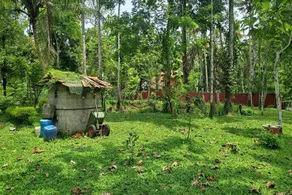 Kootungal Sadanand House - Image 5