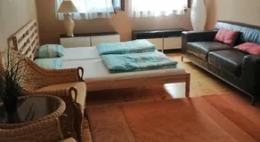 Szőlősi Diófa Vendégház - Image 2