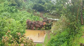 Ti Kwen Glo Cho - Image 5