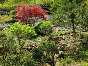 Dorogawa Onsen Ichimaru Ryokan - Image 5