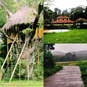 Palkadavu Warium Villa | Wayanad Homestay - Image 2