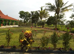 Putri Duyung Guest House - Image 4