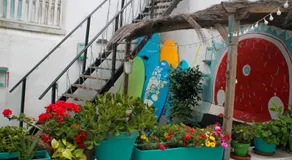 Rosa de los Vientos - Image 4