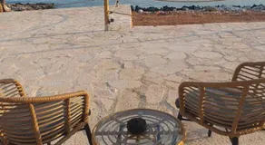 Monodendri Suites - Image 5