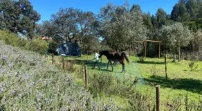 Suite no campo - Image 5