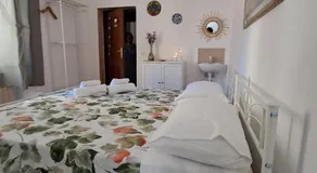 la gatta bianca - Image 2