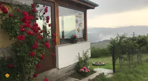 Guest House Chala - Image 5