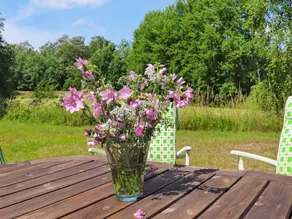 4 Sterne Ferienhaus in Örkeljunga - Image 3