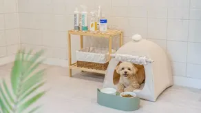 Gapyeong Santa Maria Dog-friendly Privat - Image 2