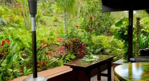 Kalani Hawaii Private Lodging - Image 5