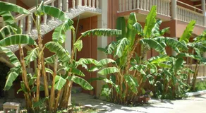Marinos Studios at Lourdata village - Image 4