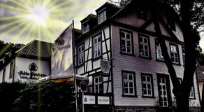 Hotel Alte Linden - Image 3
