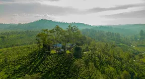 Sinna Dorai's Rotti Kadai Bungalow - Image 5