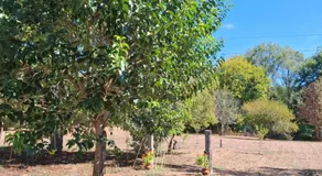 Areal - Image 4