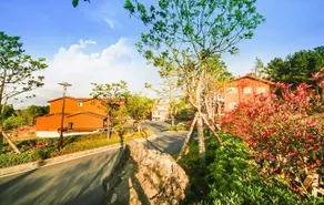 Arbon resort - Image 4