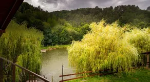 Ioska Boro - Image 5
