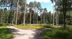 Ośrodek Edukacji Ekologicznej Lasy Janowskie - Image 3