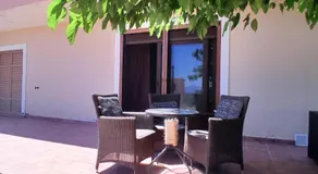Mulberry Tree - Image 3