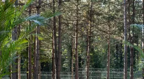 Harmony Green Village Resort - Image 3