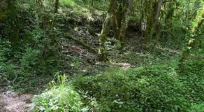 La maison bleue - Image 5