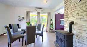 Villa Pleše - Image 4