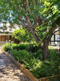 Henry's Quirindi - Image 3