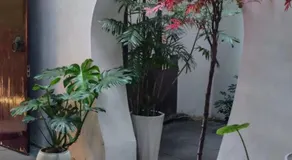 Ruolan Courtyard - Image 5