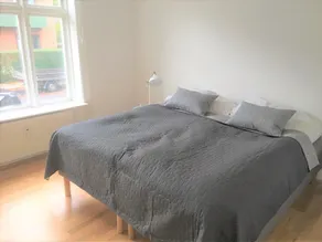 Hyggelig 2-Bedroom Apartment in lovely Frederiksberg - Image 2
