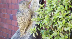 Finest Retreats - 2 Bed Llangollen Cottage - Sleeps 4 - Image 4
