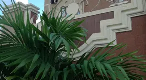 The Bellagio Getaway - Image 5