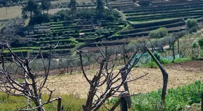 Douro Feels Like Home - Image 5