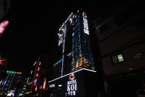 Ulsan Samsan KOI Hotel - Image 4