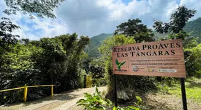 Las Tangaras Reserve - Image 2