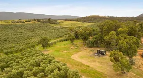 Olive Sanctuary by Tiny Away - Image 5