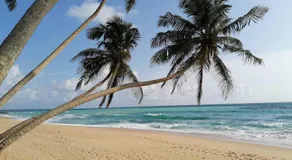 Akurala Beach Park - Image 4