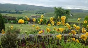 Parkin House Guest House - Image 4
