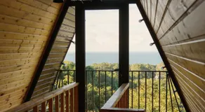 Mamukahouse - Image 3