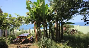 Hitas house - Image 3