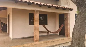 Canto da Árvore - Image 4