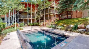 Enclave 201, Snowmass Ski-In/Ski-Out Condo w/Shared Pool/Hot Tub/Gym/WiFi - Image 4