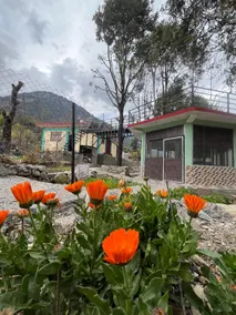 your's homestay - Image 5