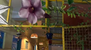 The Little Blue Window Hostel - Image 2
