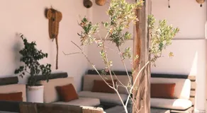 Riad Bianca Essaouira Guest House - Image 4