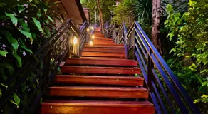 PawPaw Resort - Image 5