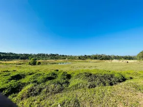 Bovera Orchards (Coorg O Farm) - Image 3