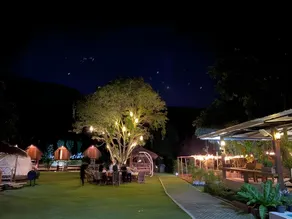 Lion Cafe Resort - Image 5